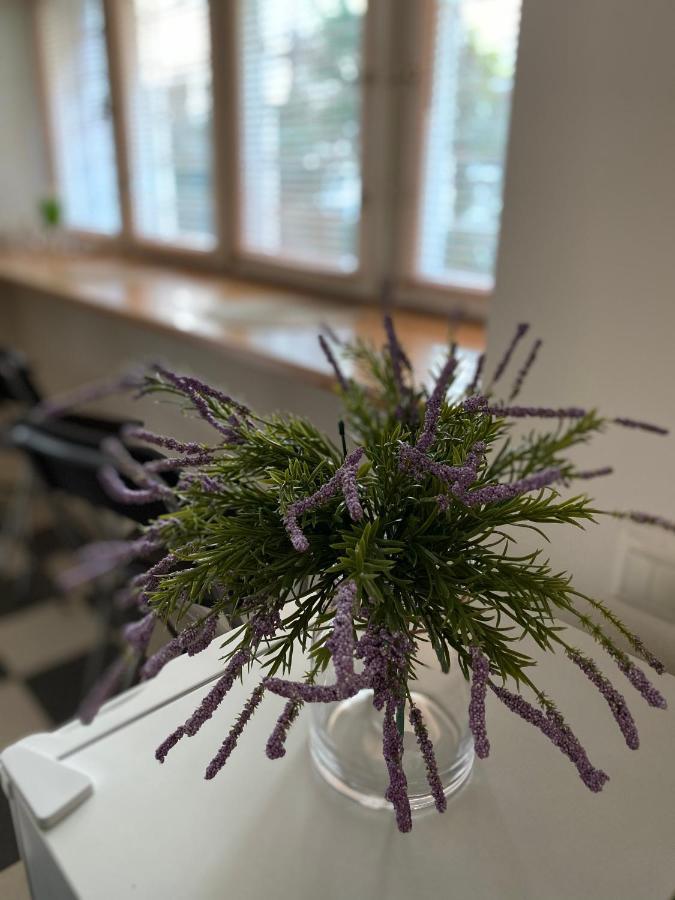 Family Apartment 利沃夫 外观 照片